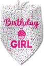 Dog Birthday Bandana Birthday Girl Pet Scarf Bibs Accessories Party Supplies by Luptiteuy