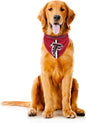 Littlearth NFL Denver Broncos Pet Bandana by Littlearth
