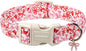DOGWONG Cute Dog Collar, Girl Female Dog Collars by DOGWONG