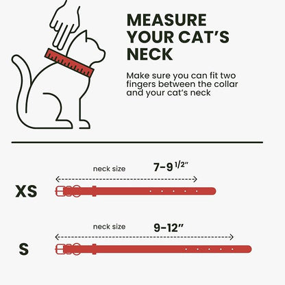 BRONZEDOG Leather Cat Collar - Image 7