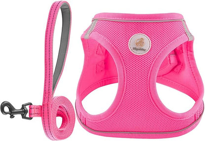 Hipubby Dog Harness and Leash Set, No Pull Soft Mesh Puppy Harness by Hipubby