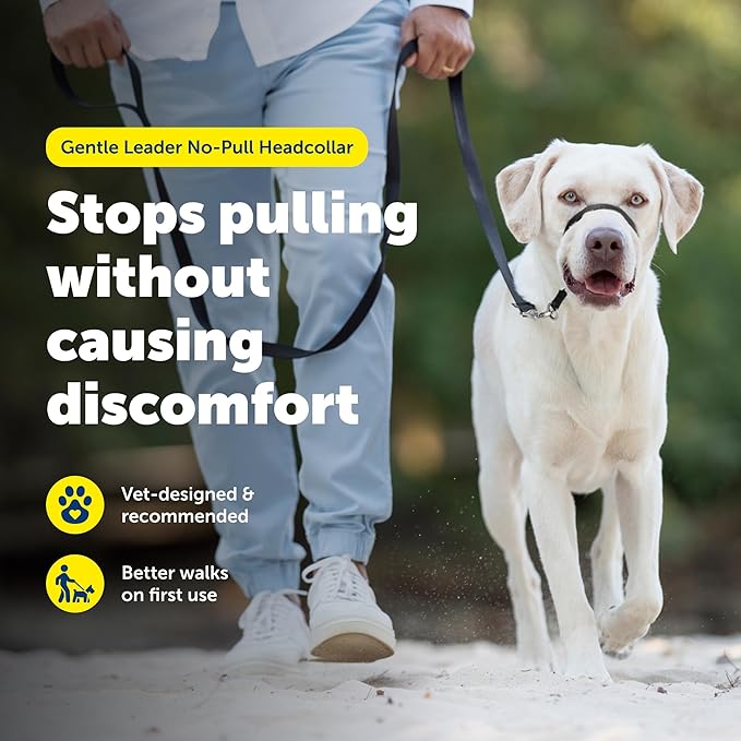 PetSafe Gentle Leader No-Pull Headcollar - Image 2