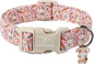 Easter Dog Collar for Medium Dogs by Babolepet