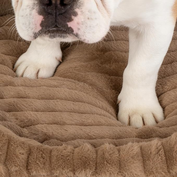 Dog Bed for Extra Large Dogs, Cute XL Dog Bed - Image 9