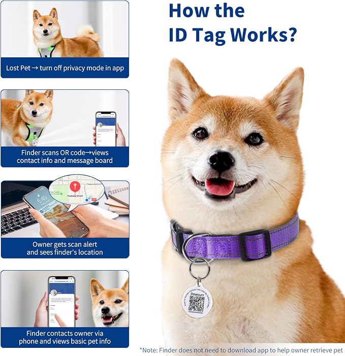 Reflective Dog Collar for Small Dogs - Image 5