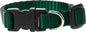 LupinePet Basics 1/2" Green 8-12" Adjustable Collar by LupinePet