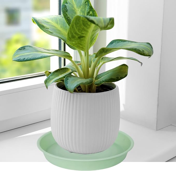 4 Pack of 14 inch Plant Saucers Bird Bath Bow Round, Plastic Plant Saucer Tray - Image 4