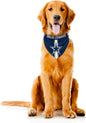 Littlearth NFL Denver Broncos Pet Bandana by Littlearth