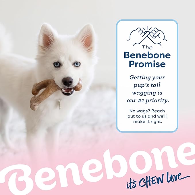 Benebone Puppy Wishbone Dog Chew Toy, Made in USA, Real Bacon Flavor - Image 6