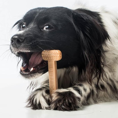 Bullibone Nylon Dog Chew Toy for Aggressive Chewers - Image 2