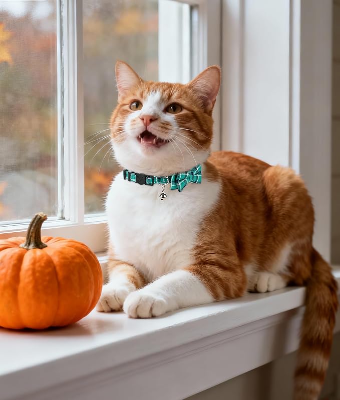 Joytale Upgraded Cat Collar - Image 3
