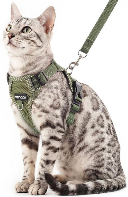 Cat Harness and Leash Escape Proof Large Kitten Harness Ragdoll Cat Vest by pangdi