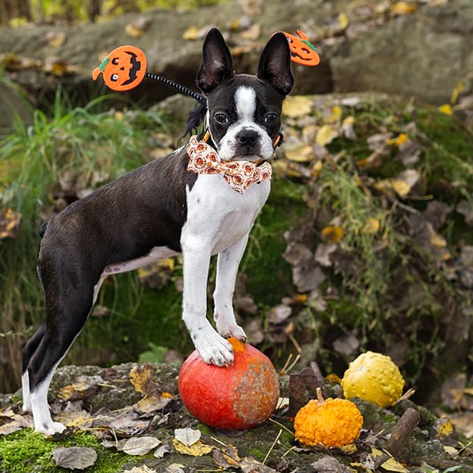 Dog Collar - Thanksgiving Turkey Bowtie Gift Soft Bow Collar - Image 5