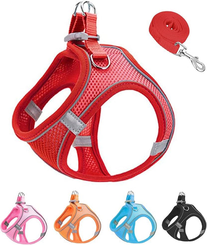 XXXS Red Soft Mesh Dog Harness and Leash Set, No Escape Puppy Harnesses by Unknown
