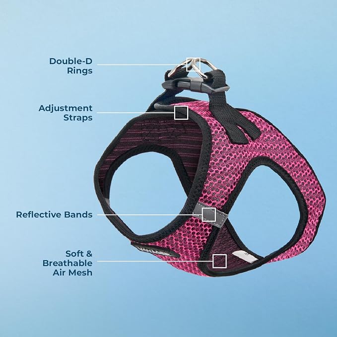 Best Pet Supplies - Image 4