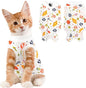 Cat Recovery Suit Female, Breathable Cat Onesie After Surgery Female by Coppthinktu