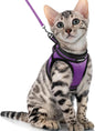 rabbitgoo Cat Harness and Leash Set by rabbitgoo
