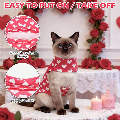 EXPAWLORER Cat Valentines Outfit Sweater - Image 3