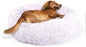Calming Dog Bed for Medium Dogs Washable Donut 30 inches Anti-Slip Pet Bed by nononfish