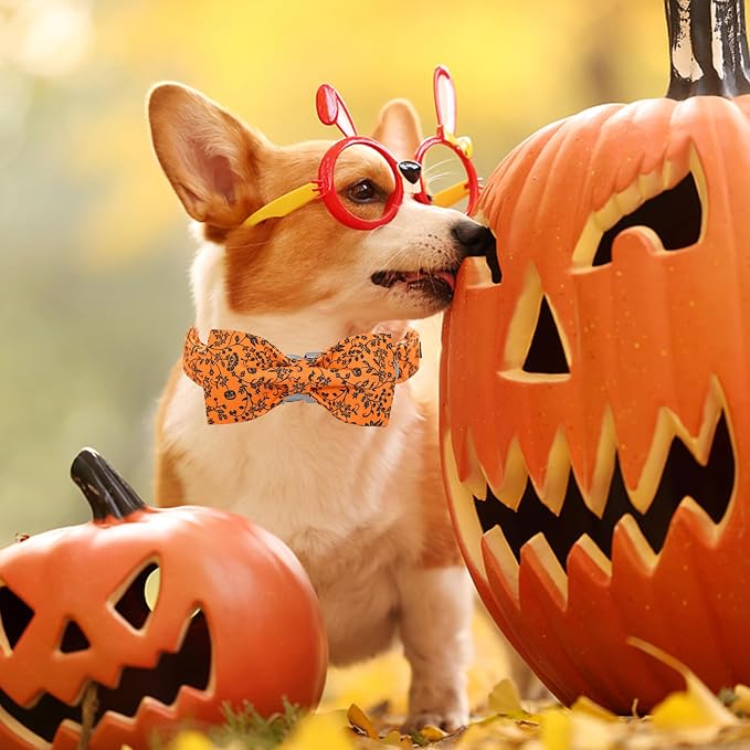Halloween Dog Collar, Pet Collar Dog Bow Pumpkin Dogs Collar Girl Boy Holiday - Image 4