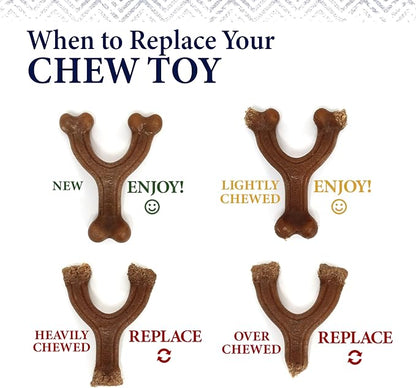 Nylabone Gourmet Style Femur Bone Strong Chew Toy - Image 9