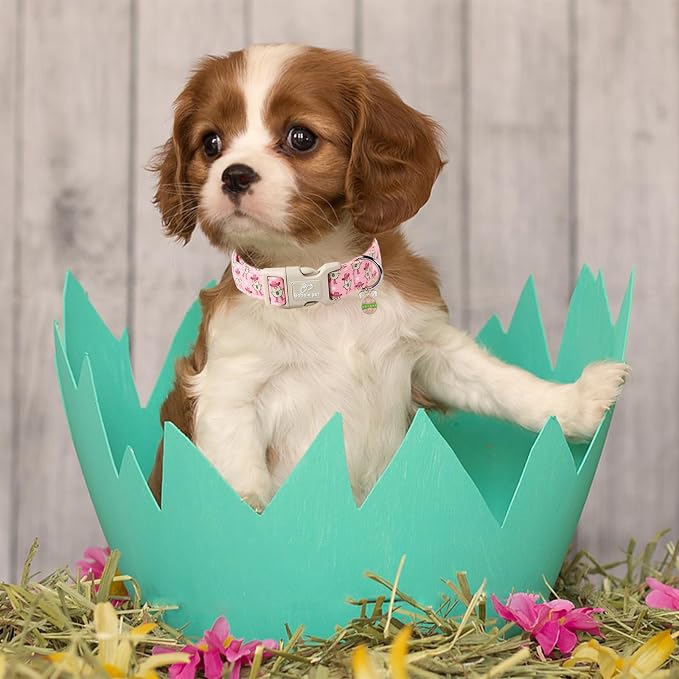 Easter Dog Collar for Large Dogs - Image 5