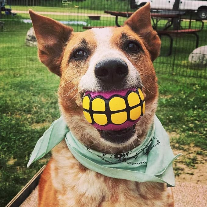 Dog Balls Toys - Squeaky Fetch Rubber Funny Ball Gifts - Image 3