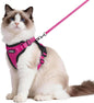 rabbitgoo Cat Harness and Leash by rabbitgoo