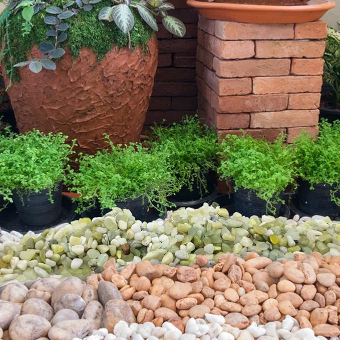 5LB Succulent and Cactus Pebbles, 1/5 Inch Jade Natural Decorative Polished - Image 6