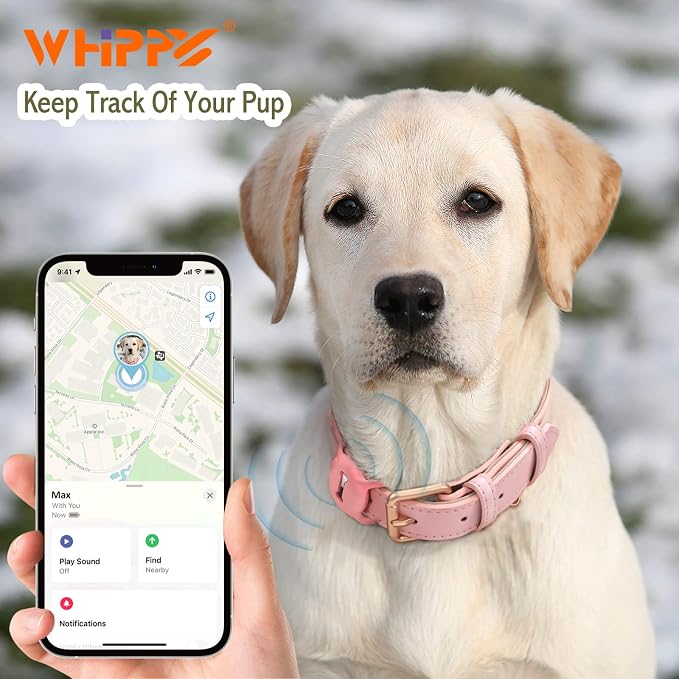 WHIPPY Airtag Leather Dog Collar GPS Tracker Air Tag Puppy Collar Adjustable - Image 3
