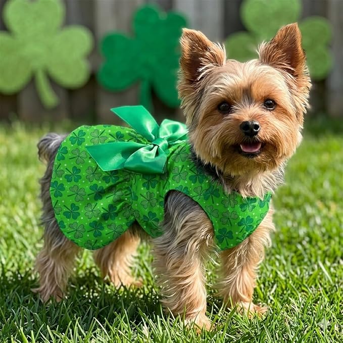 St. Patrick's Day Dog Dress Custom Name Puppy Outfit - Image 5