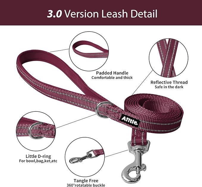 AIITLE No Pull Dog Harness and Leash Set, Christmas Step in Adjustable Dog - Image 6