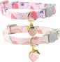 Faygarsle 2 Pack Breakaway Cat Collar by Faygarsle