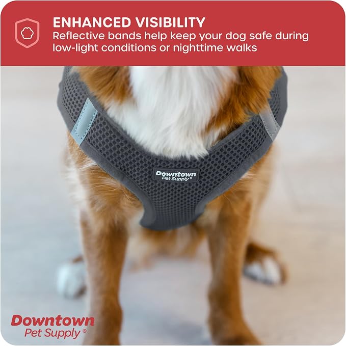 Downtown Pet Supply Step-in Dog Harness – No Pull, Adjustable Padded Mesh - Image 7
