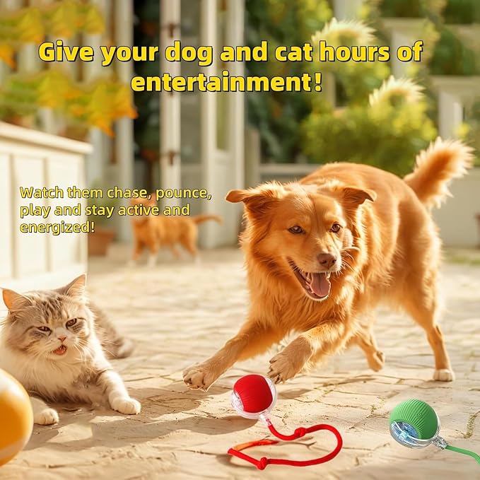 Interactive Dog Cat Toy Ball, Automatic Moving Bouncing Rolling, - Image 3