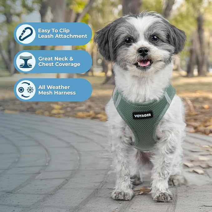 Best Pet Supplies Voyager Step-in Air Harness - Image 3