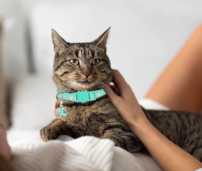 2Pcs Breakaway Cats Collars Cat Collars - Image 6