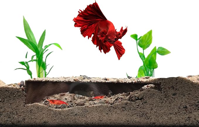 Shrimp Breeding Protector | Shrimp Breeding Cave Aquarium Tunnel | CTWPets by CTWPets