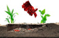Shrimp Breeding Protector | Shrimp Breeding Cave Aquarium Tunnel | CTWPets by CTWPets