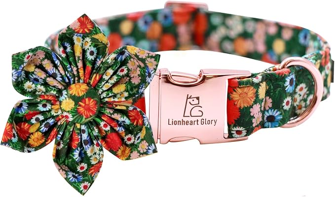 Lionheart Glory Floral Dog Collar by LionheartGlory