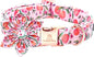 Lionheart Glory Pink Peach Dog Collar by LionheartGlory