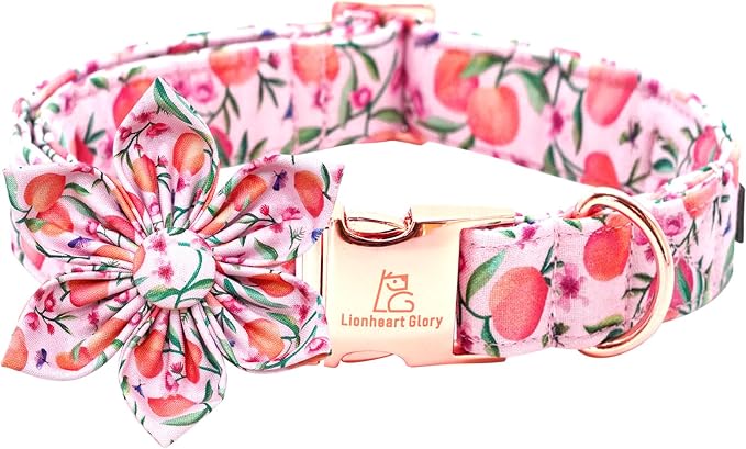 Lionheart Glory Pink Peach Flower Dog Collar by LionheartGlory