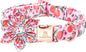 Lionheart glory Dog Collar by LionheartGlory