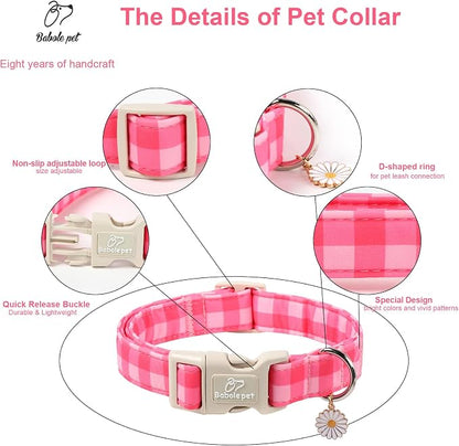 Girl Dog Collar for Giant Large Dogs - Image 3