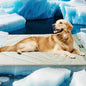 ZonLi Dog Cooling Mat, Waterproof Cooling Pad by Zonli