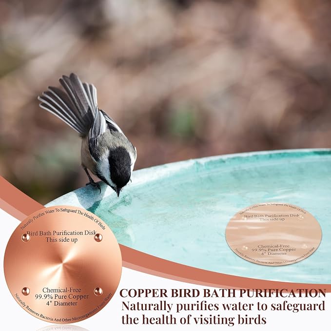 2 Pcs Bird Bath Copper Disk, 0.6mm Thick Reinforced 99.99% Pure Copper Birdbath - Image 5