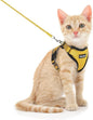 Dooradar Cat Harness and Leash Set, Escape Proof Safe Adjustable Kitten Vest by Dooradar