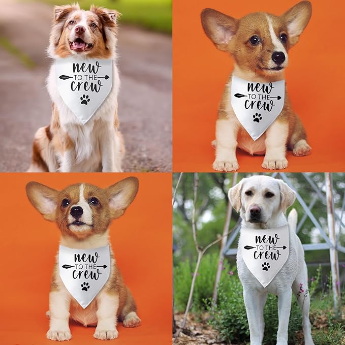 New to The Crew Dog Bandana New Puppy Announcement Gift - Image 4