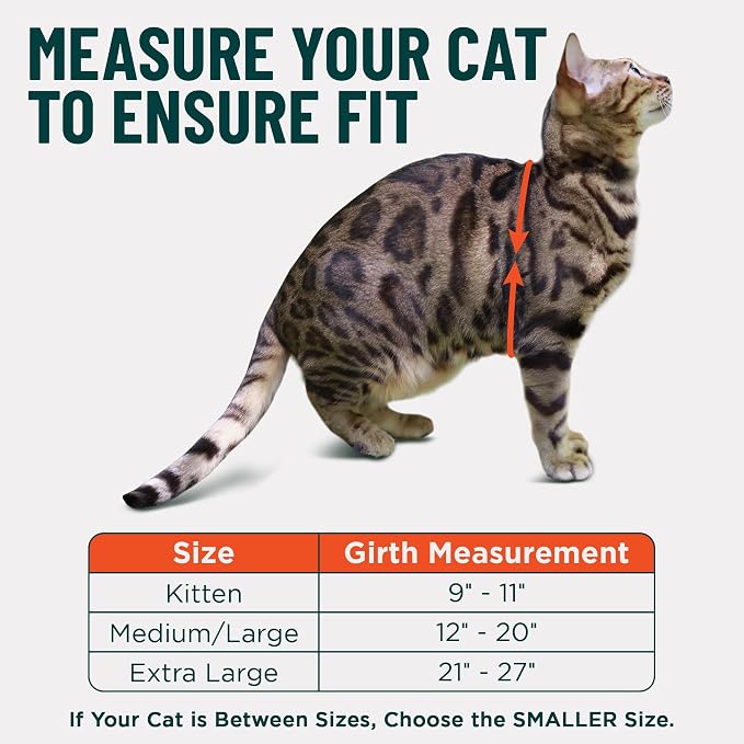 Houdini™ Escape Proof Cat Harness and Leash Set by OutdoorBengal – Tactical Vest - Image 5