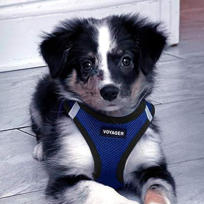 Best Pet Supplies Voyager Step-in Air All Weather Mesh Harness and Reflective - Image 9